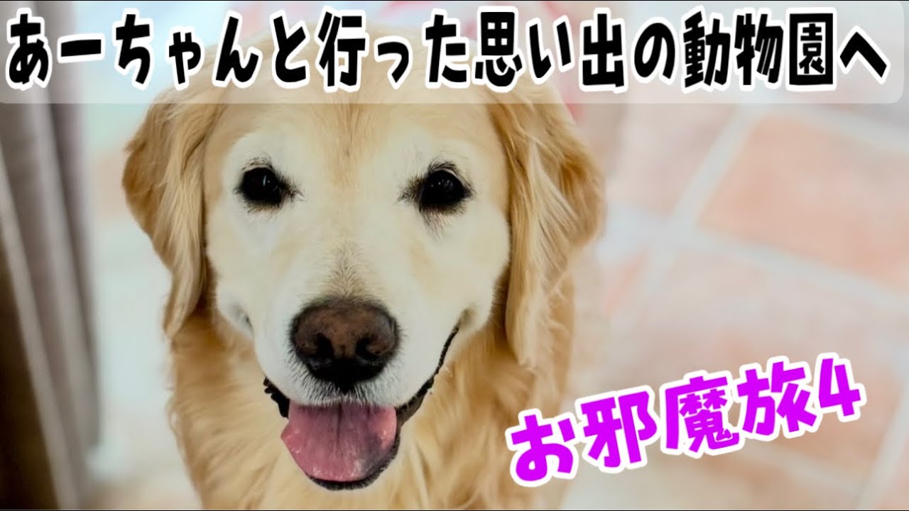 【お邪魔旅4】あーちゃんと行った思い出の動物園1