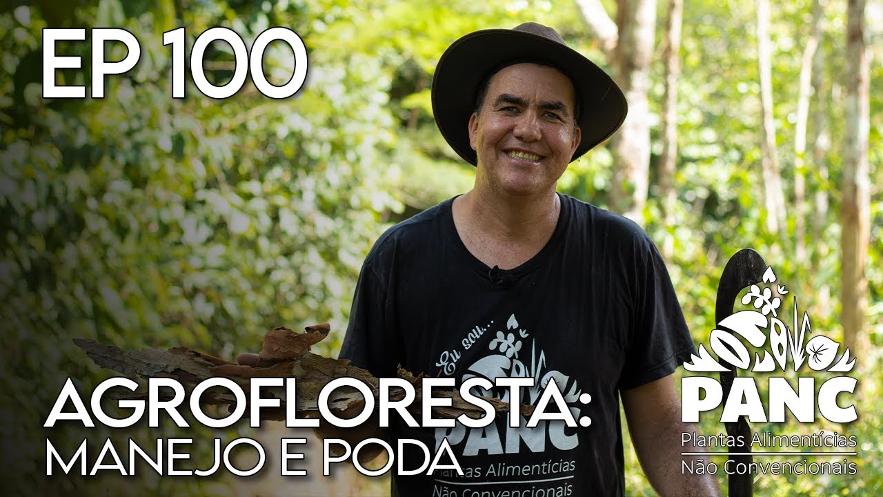 AGROFLORESTA - MANEJO E PODA | #pancnaveia #valdelykinupp