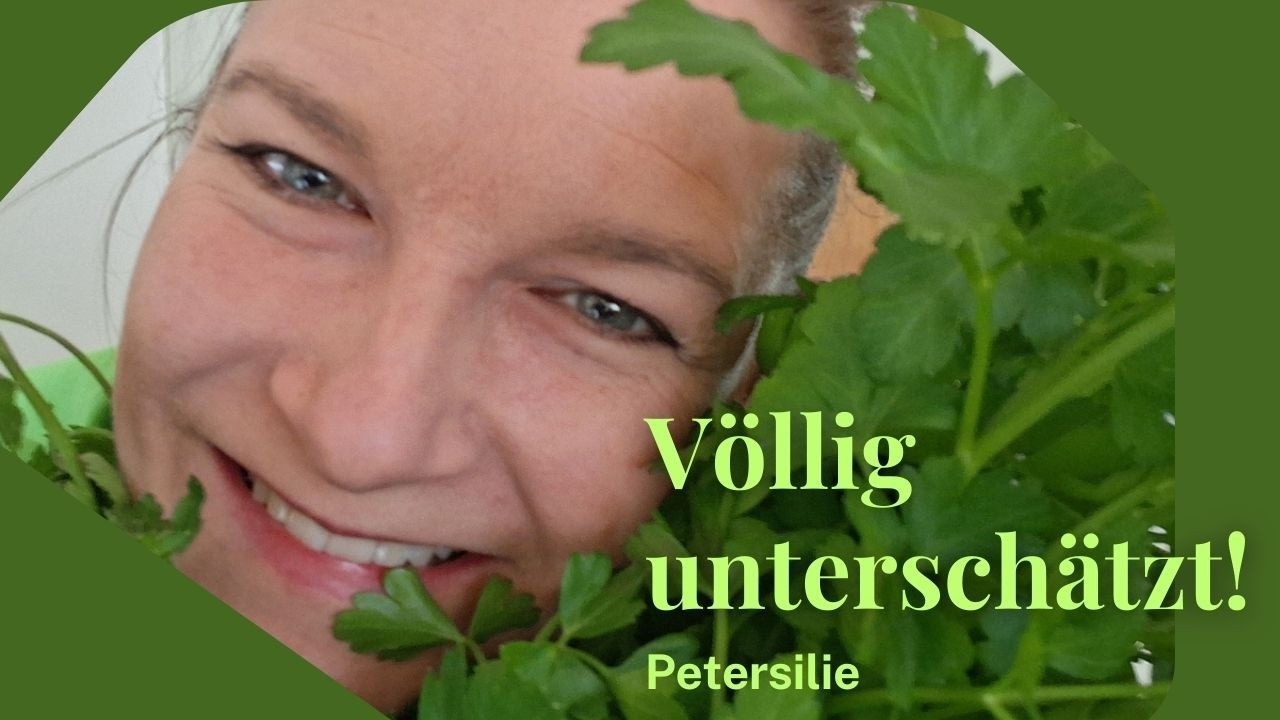 Petersilie: Wirkung, Nährstoffe, Heilwirkung & Anbau einfach erklärt