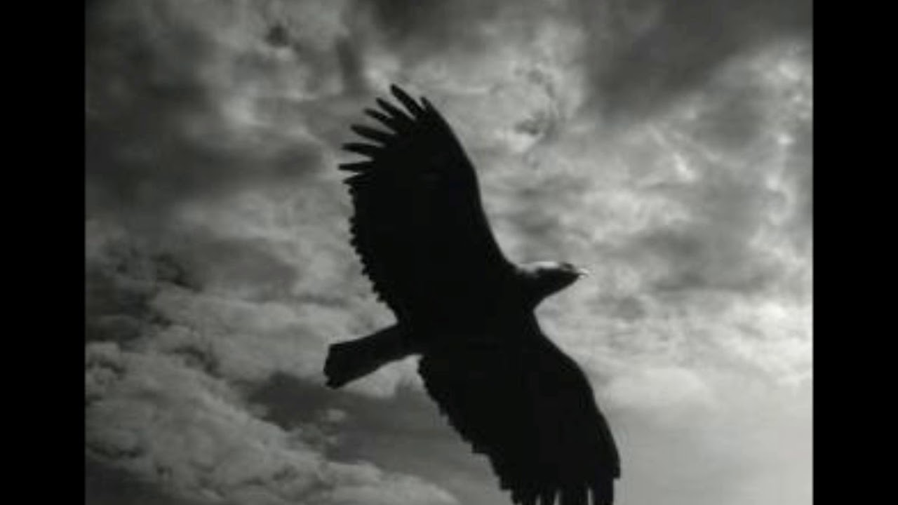 Apache Song #11 2 23 19