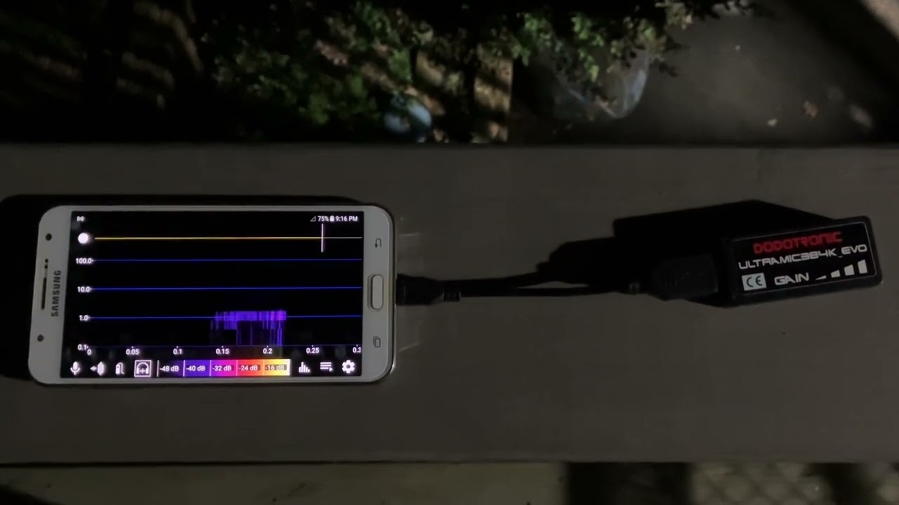 A quick look at the Ultramic 384K Evo from Dodotronic.