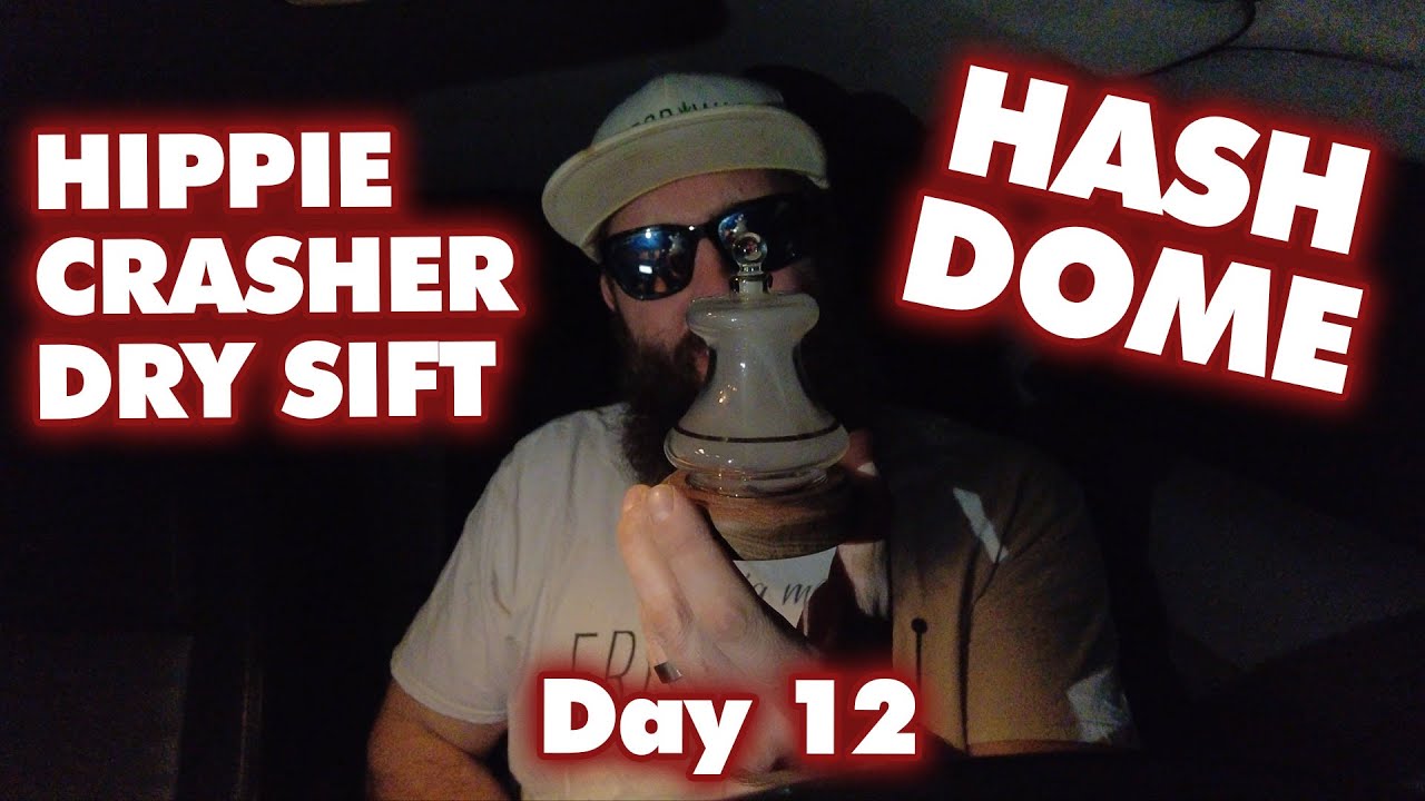 [Day 12] Hippie Crasher Dry Sift in a Hash Dome! (Red Setter Farm)