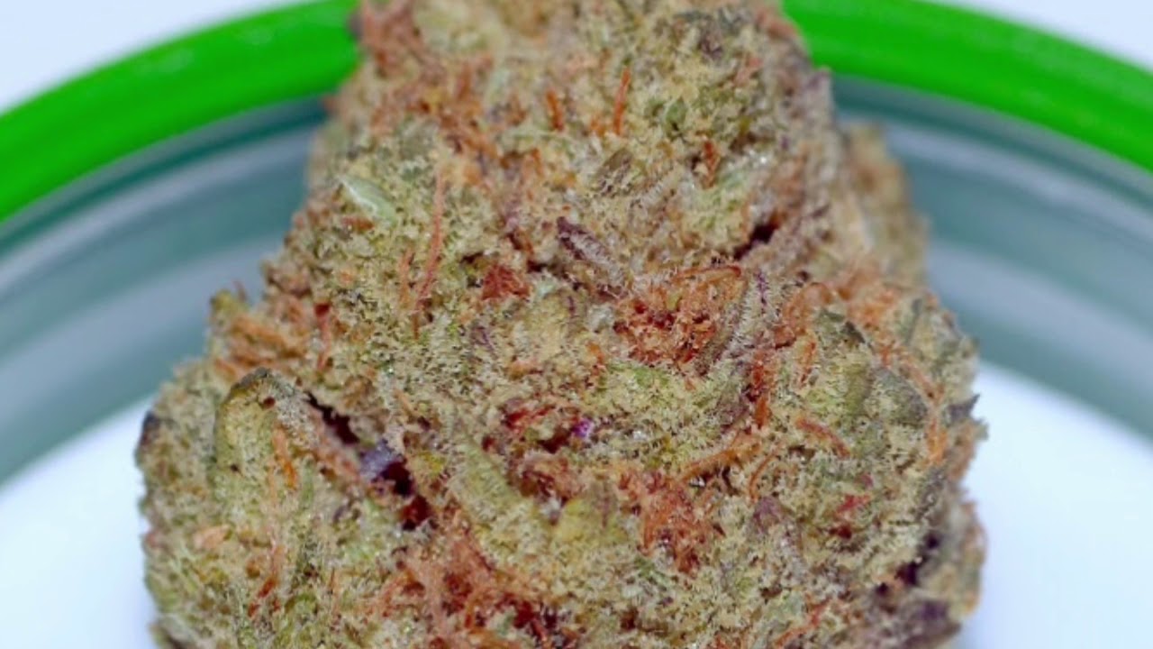 Bedford Grow Dubble Rainbow Review
