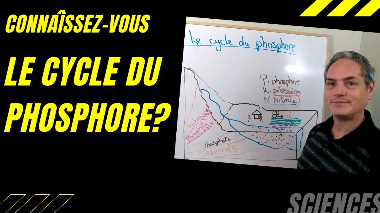 Comment fonctionne le cycle du Phosphore? Une industrie des angrais chimiques
