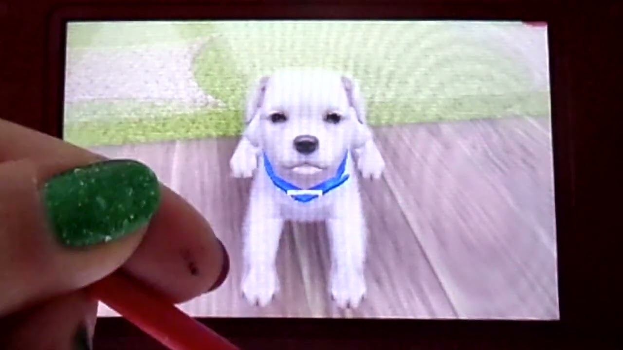 Nintendogs +Cats TPv#7 Let's Play Episode 4