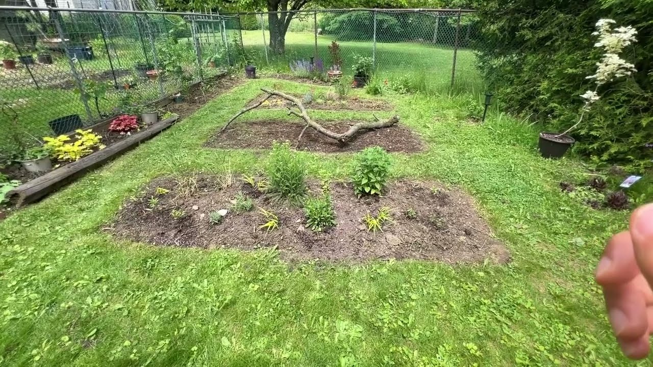 小草花园 - 六月初的状态 - 今年的种植完毕 - 分享思路，和准备克服的问题