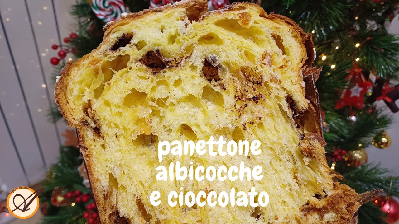 Panettone albicocche e cioccolato - Lievitazione naturale