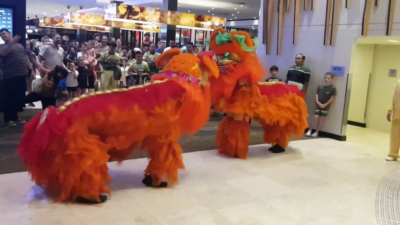Sydney Youth Lion Dance - CNY 2018 Wenty Leagues - Northern Lion dance Routine (1080p 60fps)