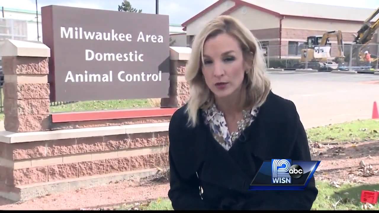 Pit bull mauls baby, mother faces charges