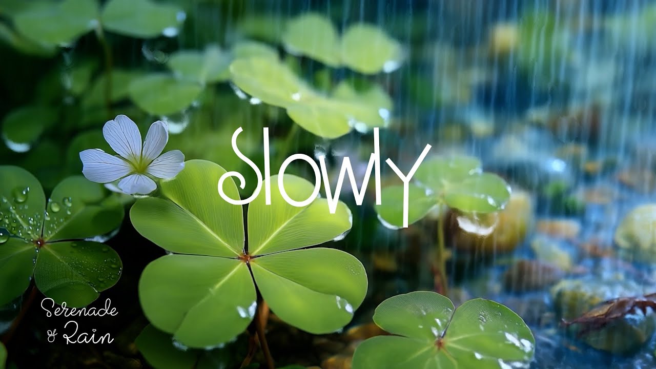Acoustic Piano Melodies | Soft Harmonies to Calm the Mind, Soothe the Soul, and Sleep Deeply