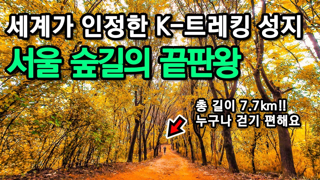 세계가 극찬한 7.7km 숲길! 남녀노소 모두 걷기 좋은 K-트레킹 성지ㅣ대중교통 당일치기 여행ㅣ지하철 여행ㅣ트레킹 코스ㅣ서울산책