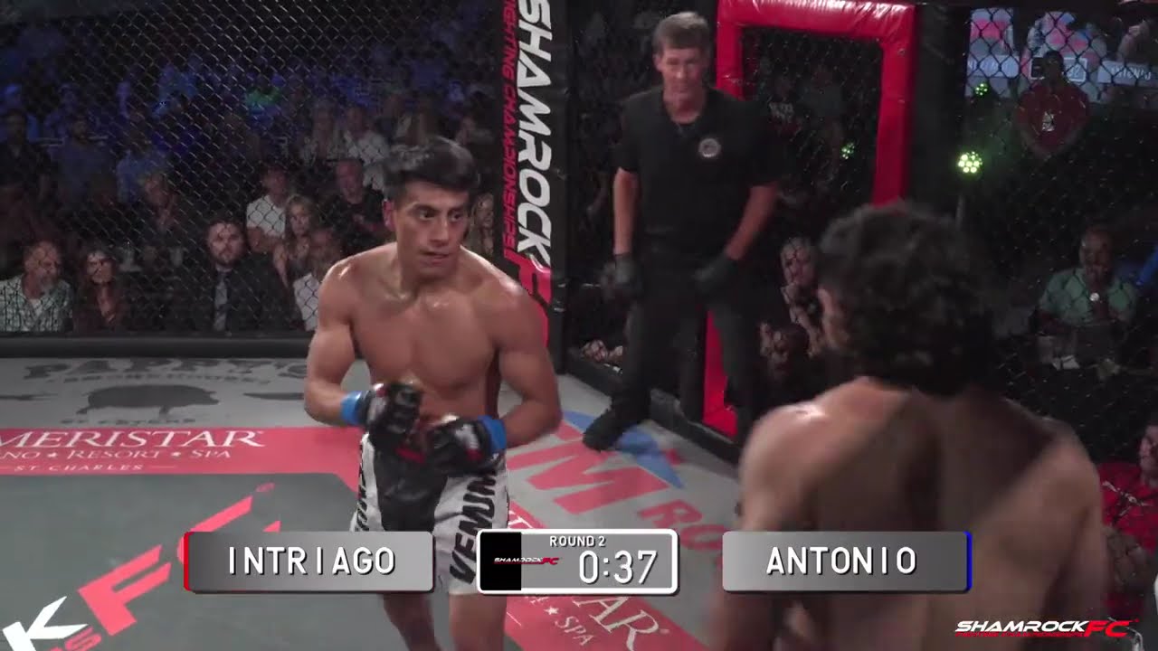 Shamrock FC: 339 Jose Intriago vs Elam Luna Antonio