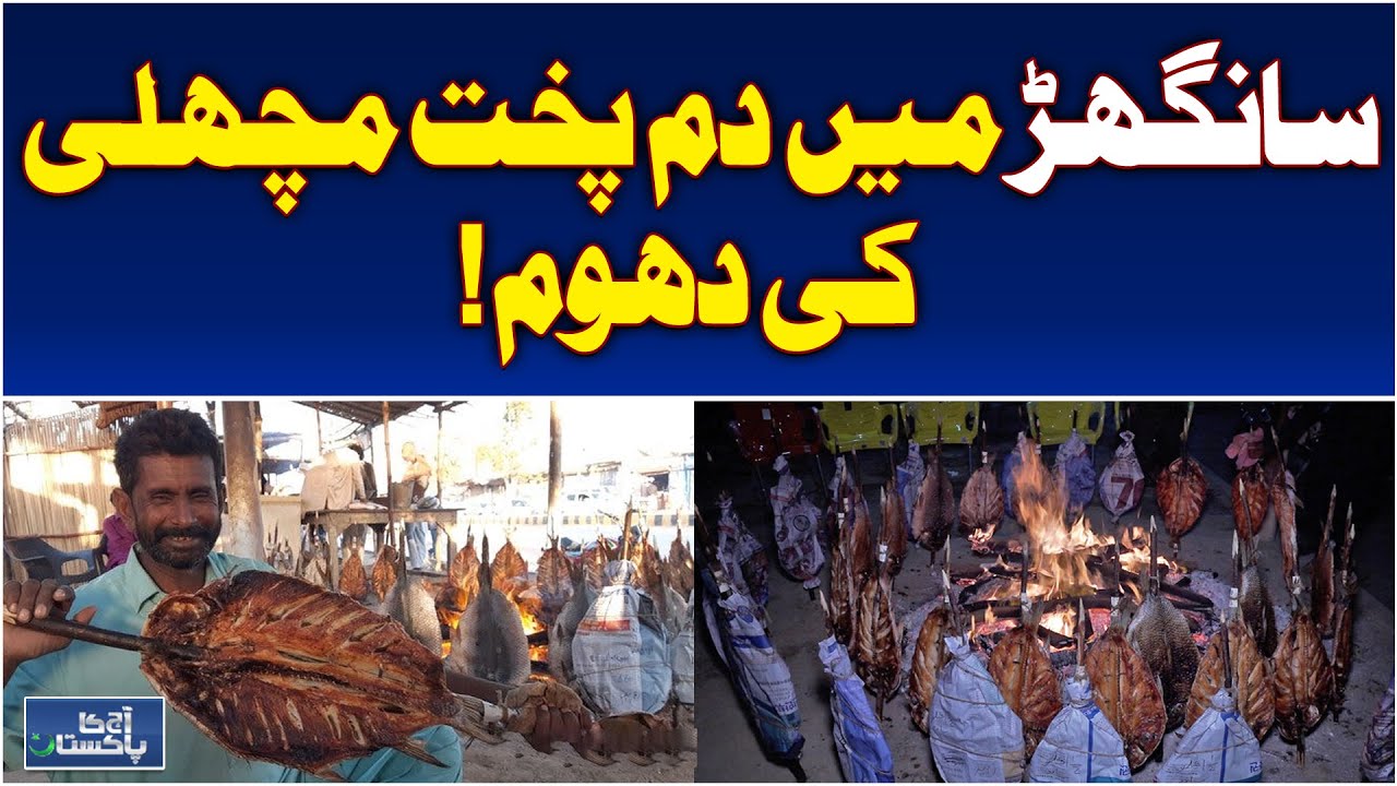 Sanghar Fish Demand | Dum Pukht Specialty | Cold Weather Boost - Aaj Pakistan News