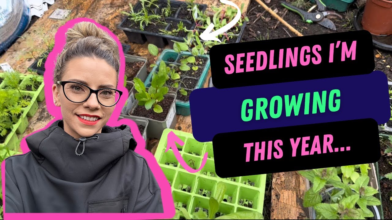 THESE ARE THE SEEDLINGS I AM GROWING THIS YEAR-I hosted a FREE Grow Along and this is my seedlings