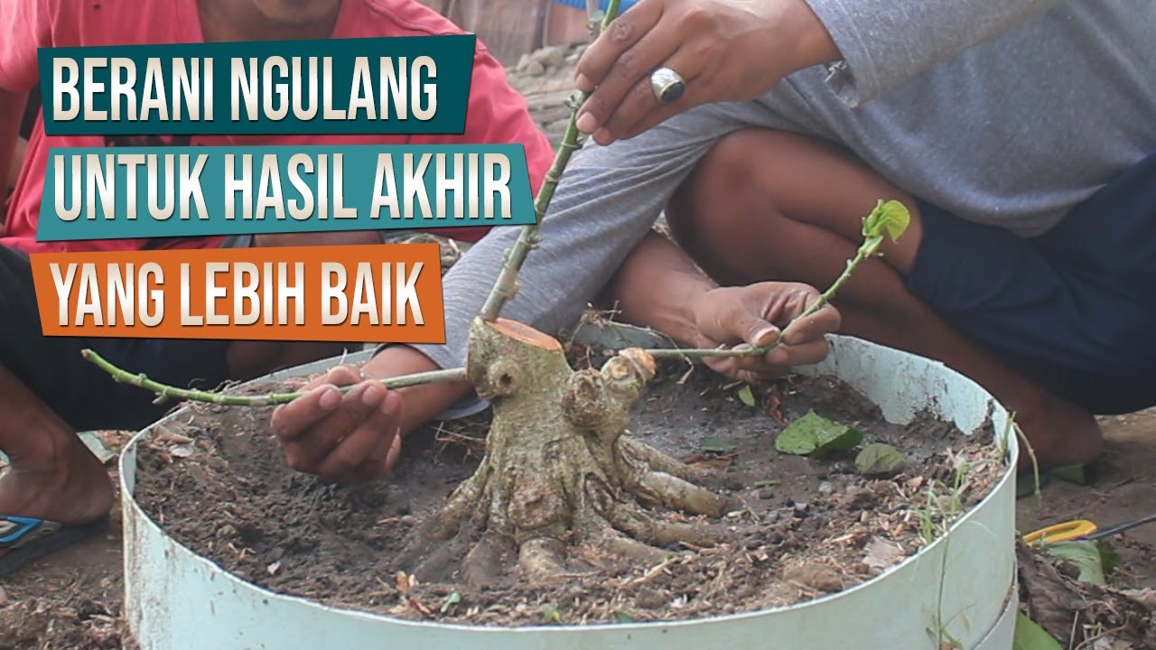 Berani Ngulang Untuk Hasil Yang Lebih Baik Bersama Mas Ben dan Mas Asep Maulana