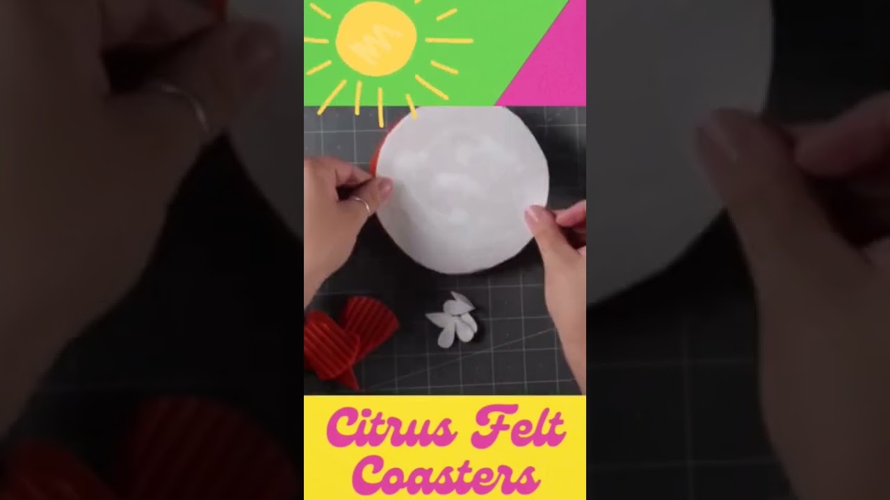 Felt Citrus Coasters 