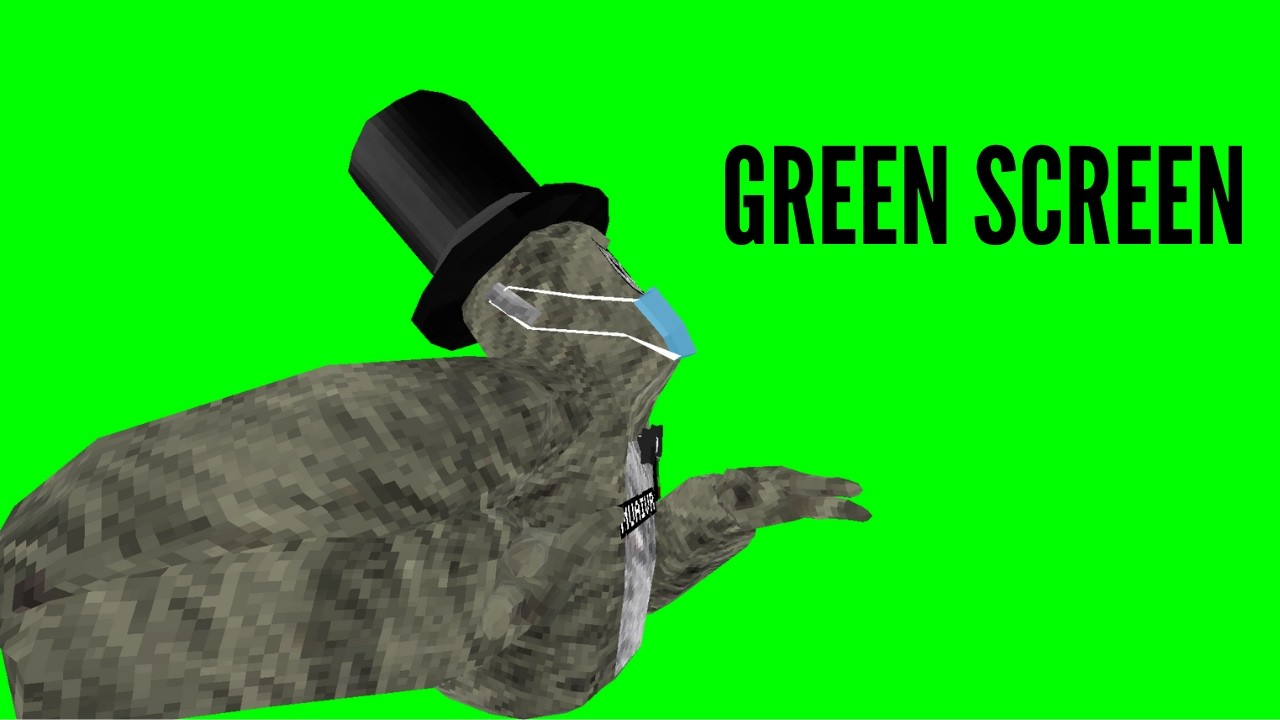 greenscreen test (gameplay)