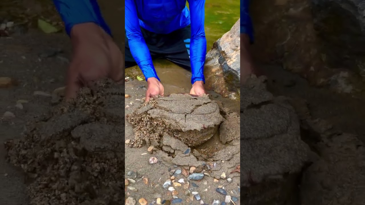 Looking for gold and panning for gold buried in river walls #goldpannning #mininggold #goldhunter