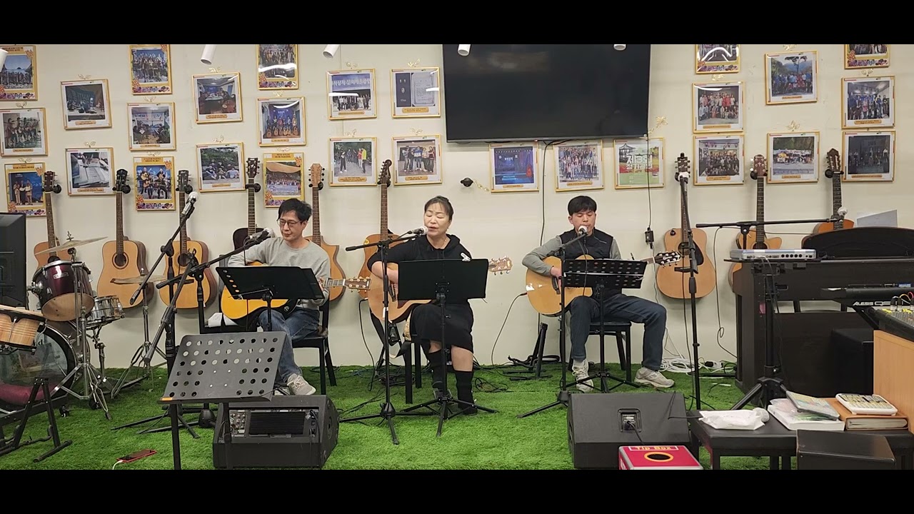 나무와새 
