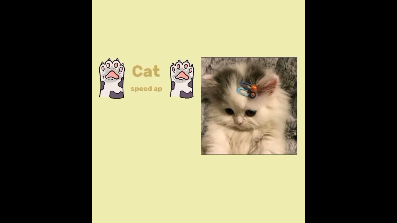 :♪плейлист песен про котиков 😺💞♪: