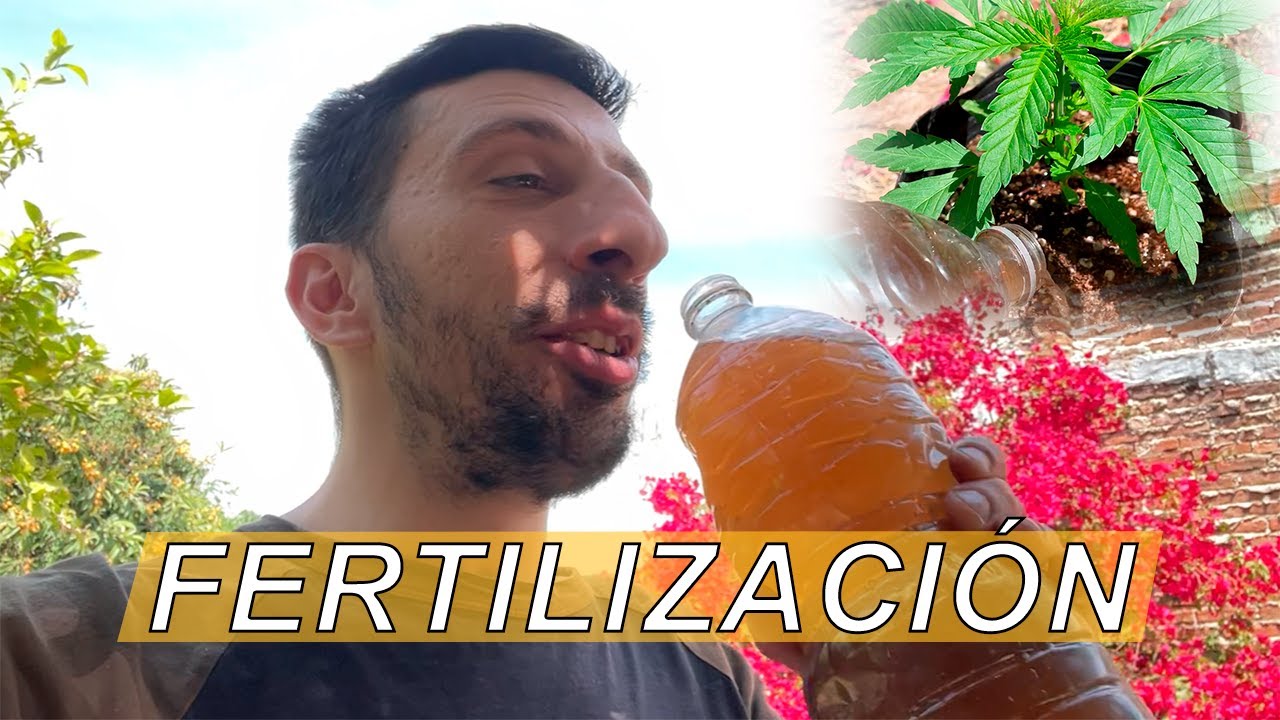 CRECIMIENTO - Cuidados y Fertilizaci&oacute;n