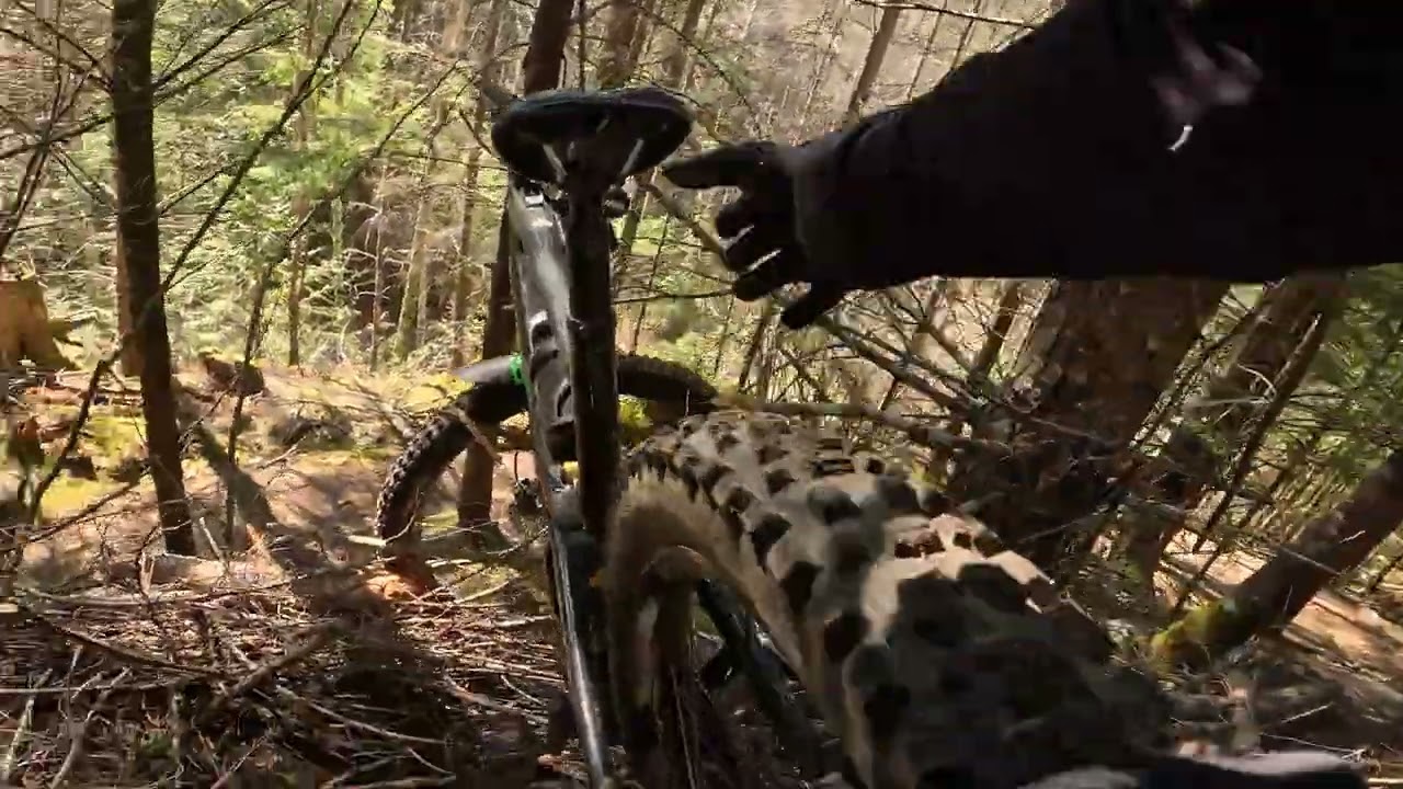 Dirk's Diggler - Squamish BC  BIG Crash!