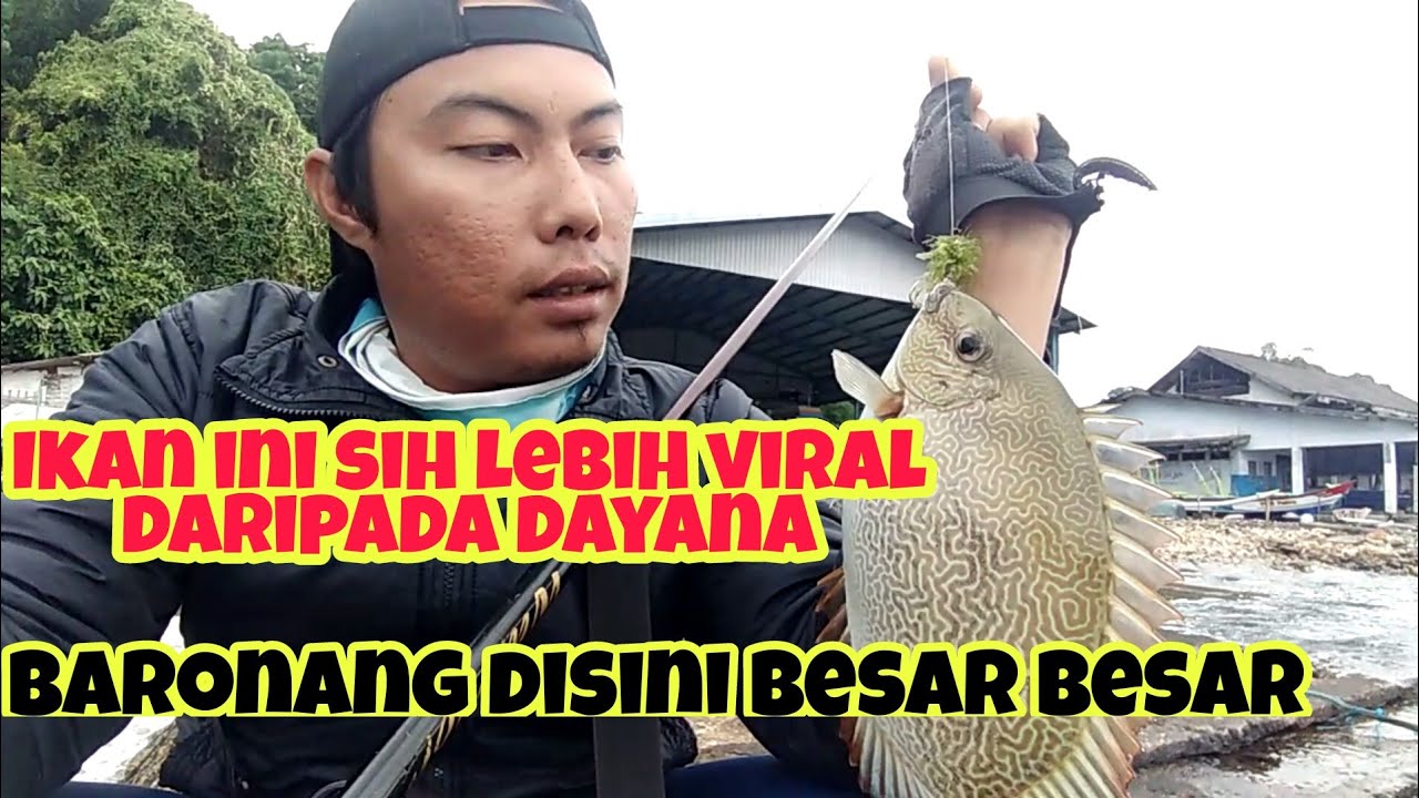 Viral..!!! Mancing Baronang di Pantai Pangi Blitar
