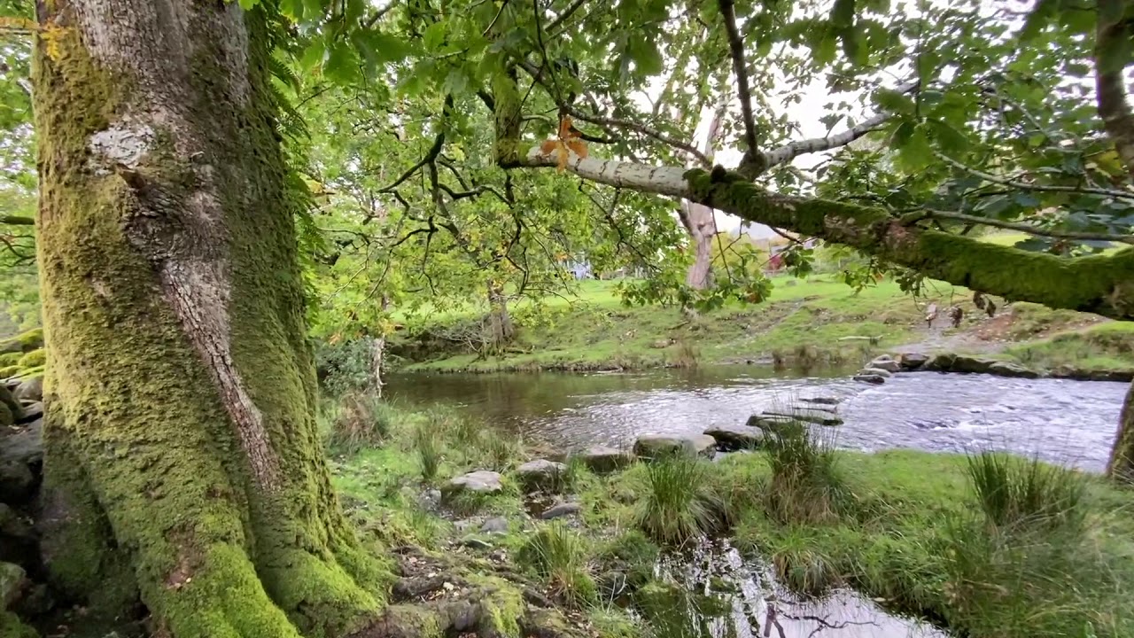 A Mindful Walk in the Lake District from Grasmere to Helm Crag