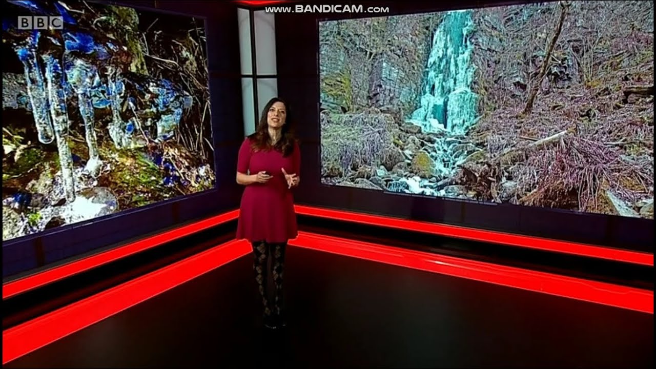 Behnaz Akhgar - Black Patterned Tights - 12/2/21