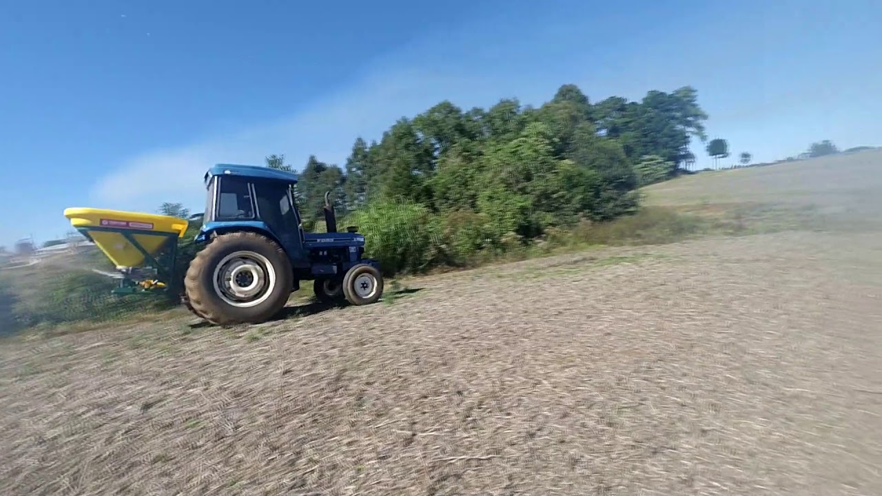 Plantio de azevém / Ryegrass planting