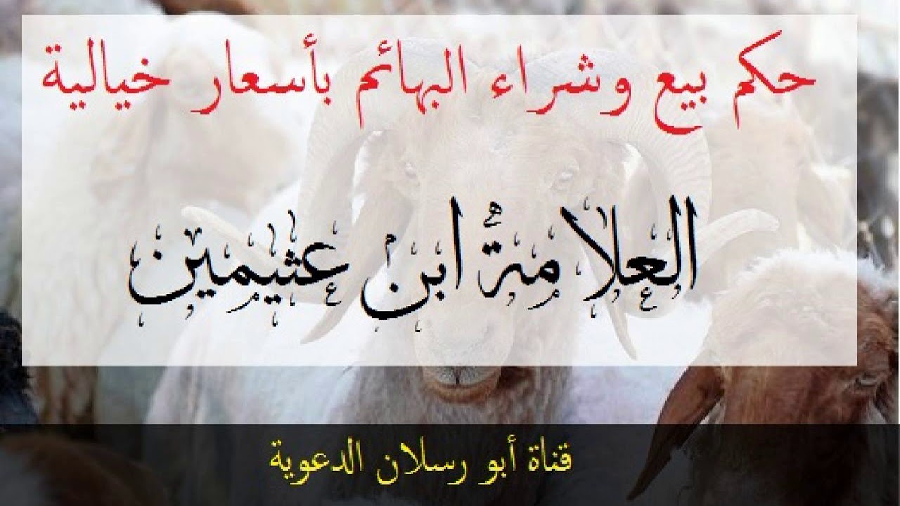 حكم بيع وشراء البهائم بأسعار خيالية _ العلامة ابن عثيمين