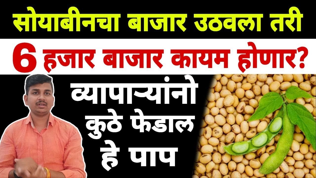 सोयाबीन बाजार भाव अपडेट | Dnyaneshwar Kharat Patil 