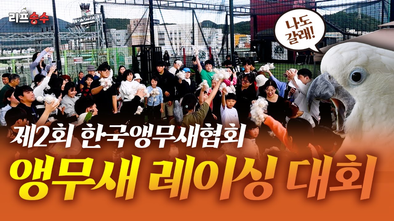 제2회 한국앵무새협회 앵무새 레이싱 대회! #한국앵무새협회 #앵무새레이싱