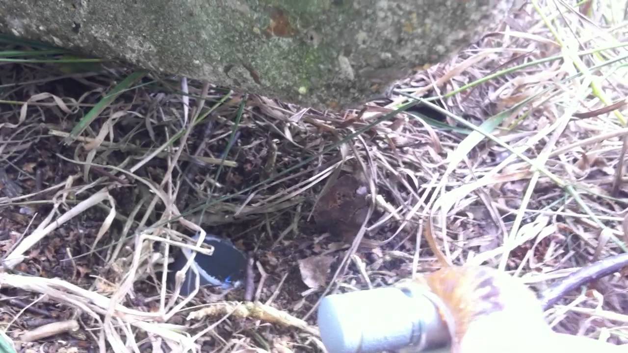 Homemade snail geocache, very clever hiding place.