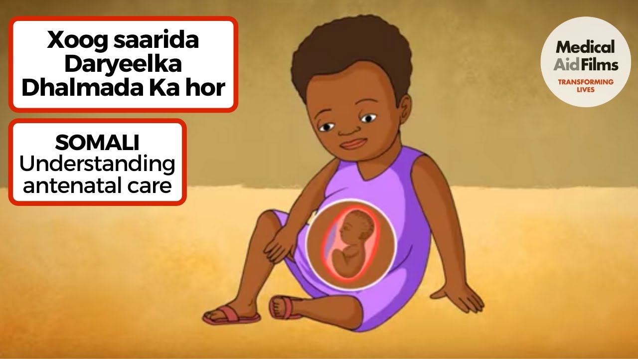 Xoog saarida Daryeelka Dhalmada Ka hor