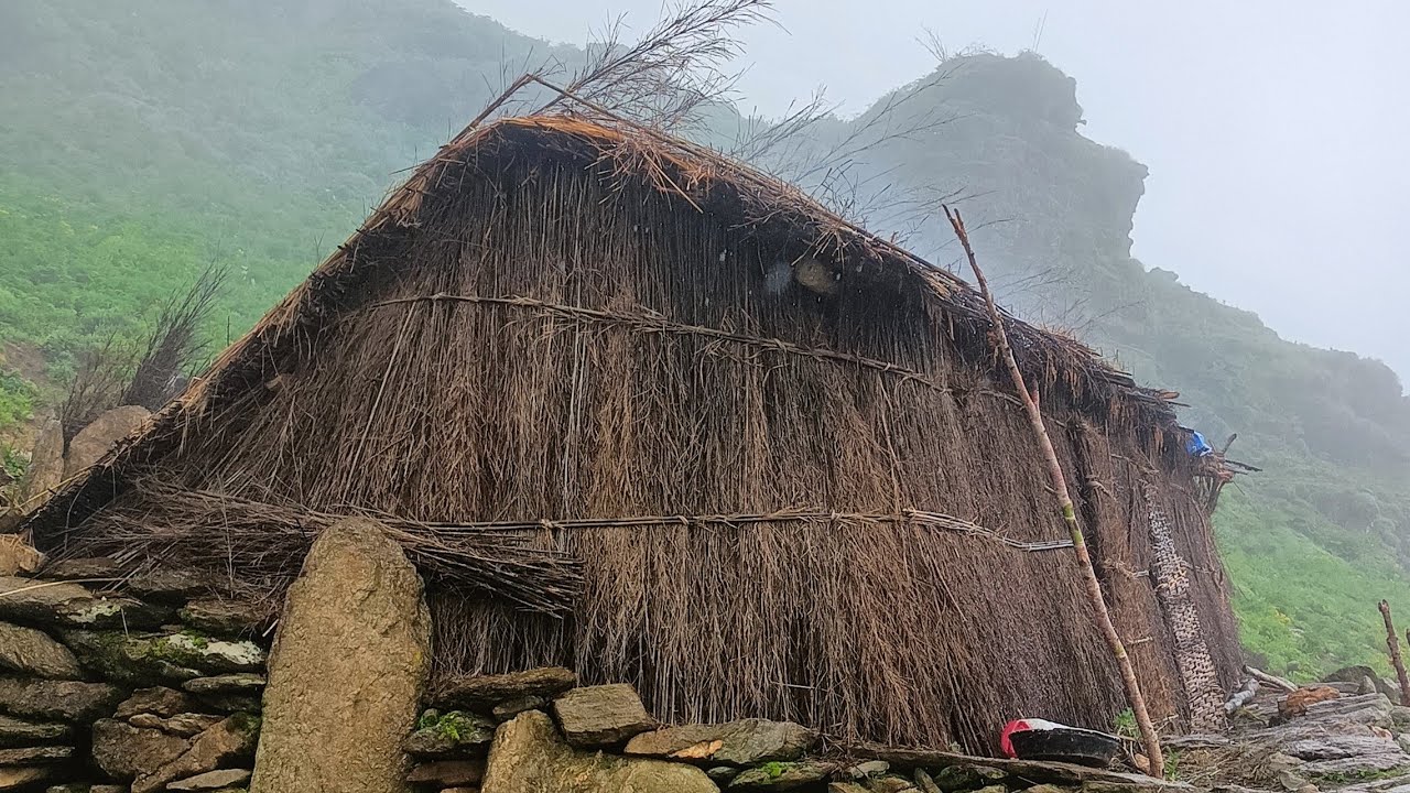 Daily activities of people in Himalayan shepherd Life Nepal 