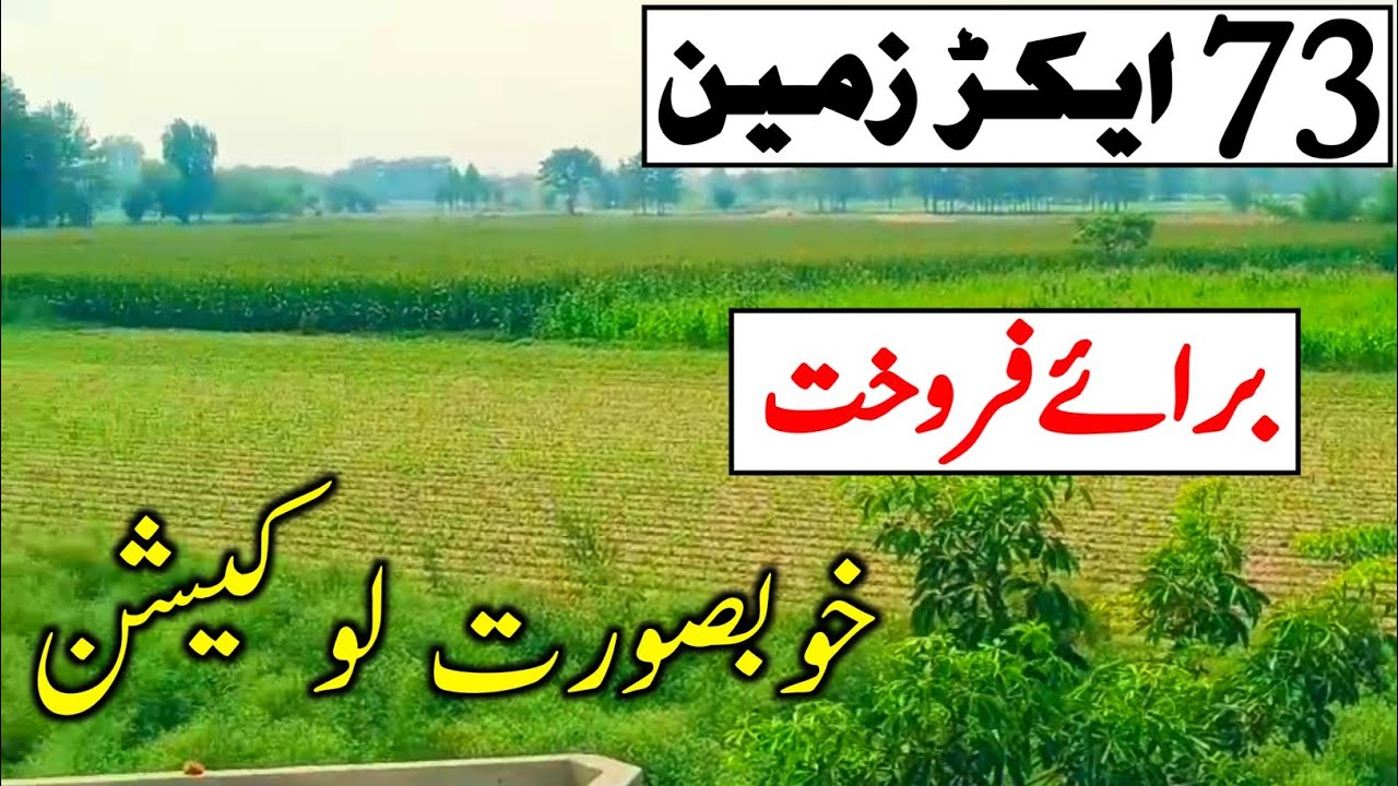 73 Acre Agricultural Land For Sale In Punjab, Pakistan | Episode 105