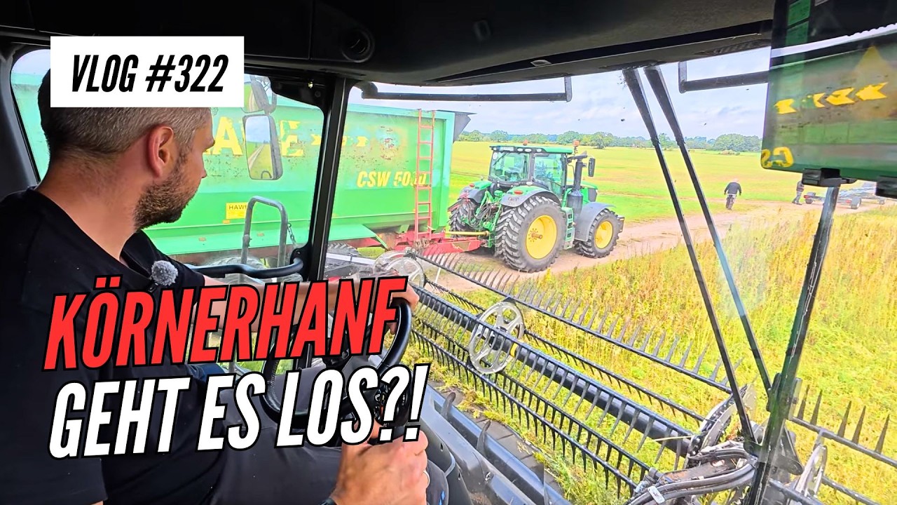 Vlog 322 | Körnerhanf-Ernte Test 🌱 noch nicht reif?! CR8.80 + FlexDraper