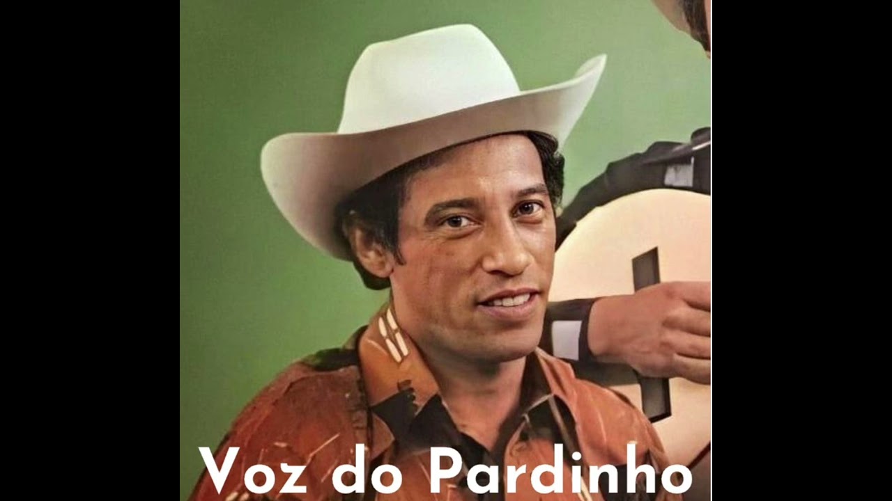 Saudade - voz do Pardinho
