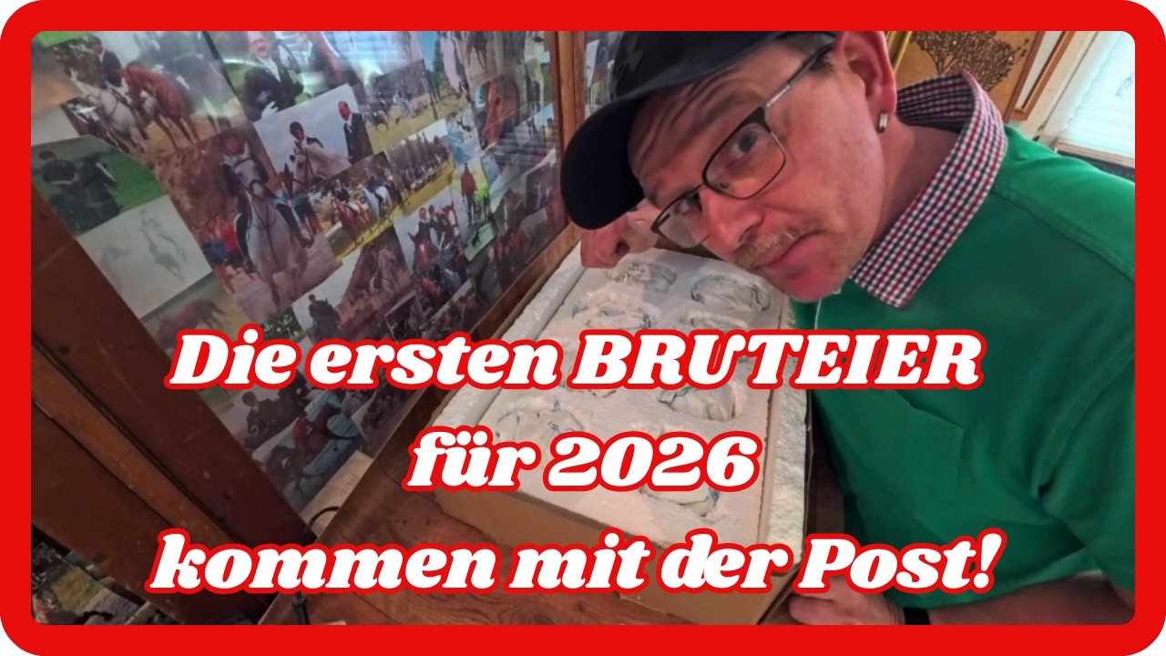 Die ersten Bruteier für 2026 kommen mit der Post !