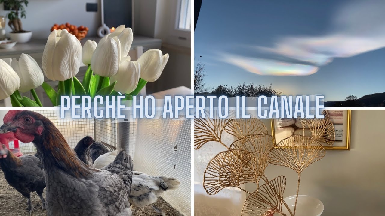 ROMANTICIZZARE LA QUOTIDIANITÀ 🫧 GRATITUDINE 🌟 GESTI SEMPLICI 🍃 relaxing vlog