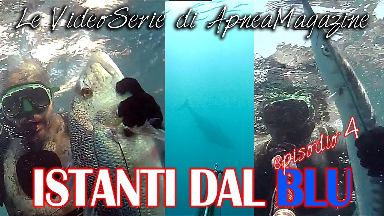 Pescasub Dentice e Barracuda: Predatori all'Argentario - Apnea Magazine