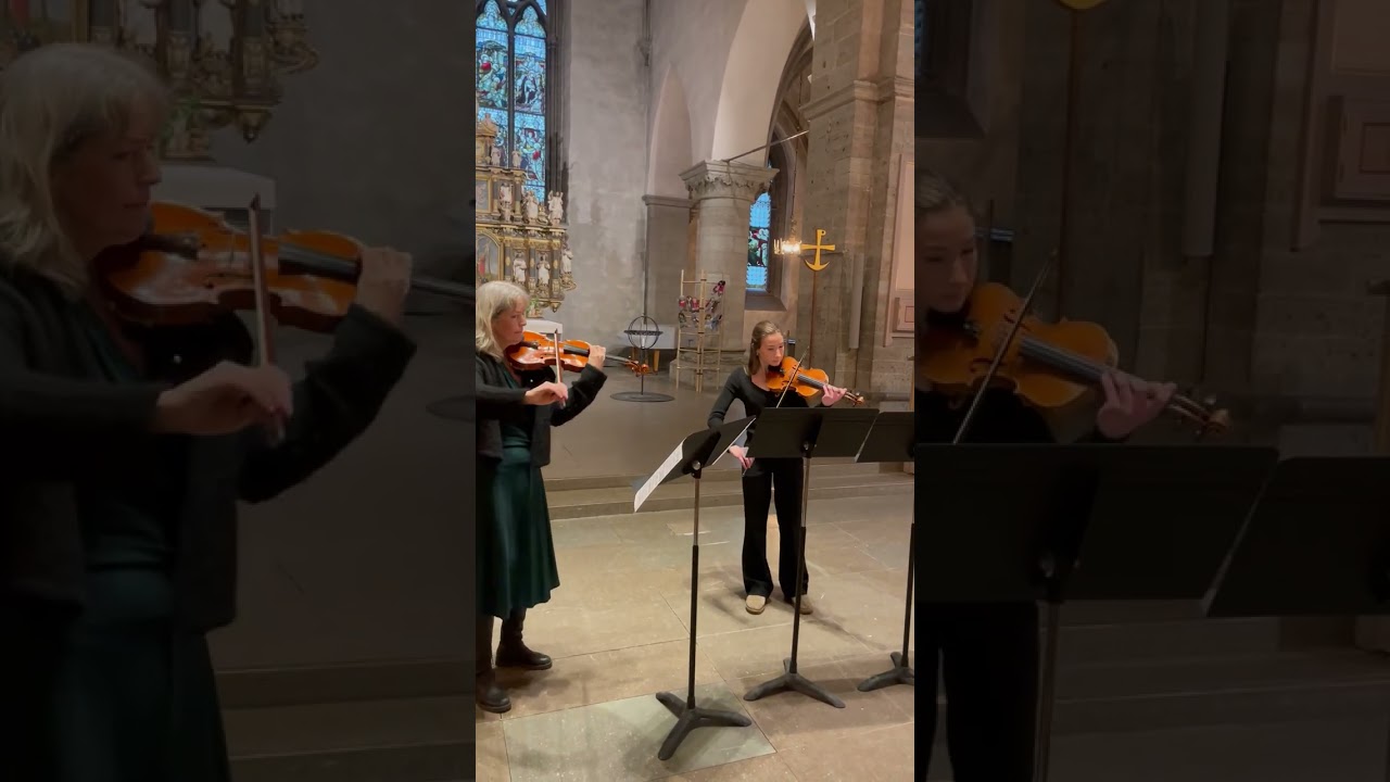 3 Duos concertants, de Bériot no. 1 Op. 50