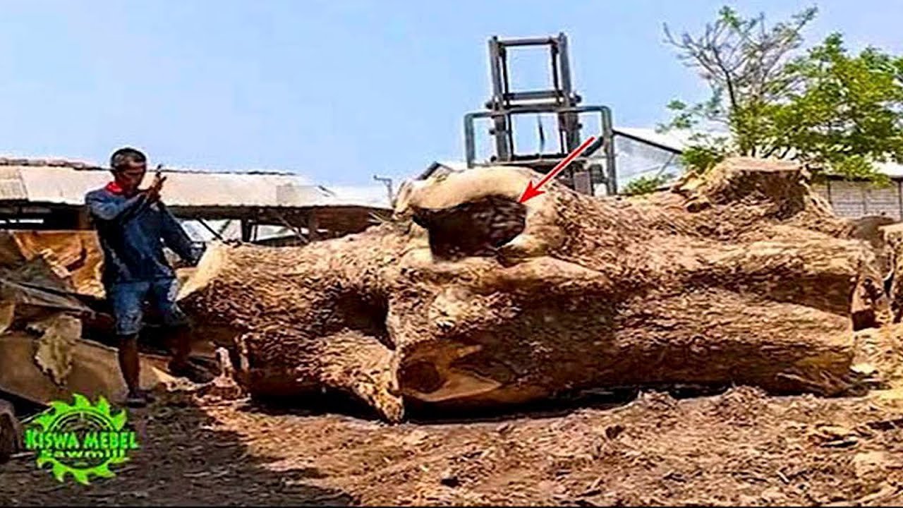 Luar biasa..Pekerja mengeluarkan doa agar kayu bisa digergaji I sawmill