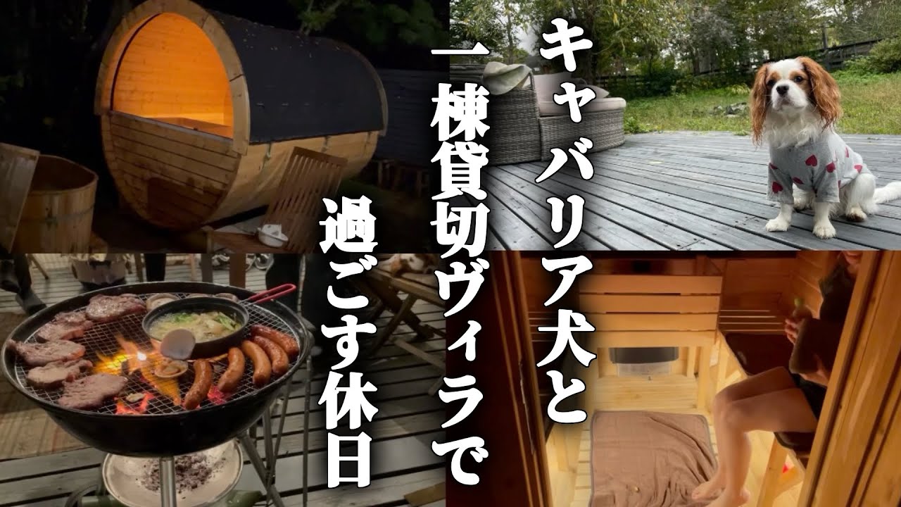 キャバリア犬と一緒にBBQを楽しんで貸切サウナで整う週末が最高すぎた…