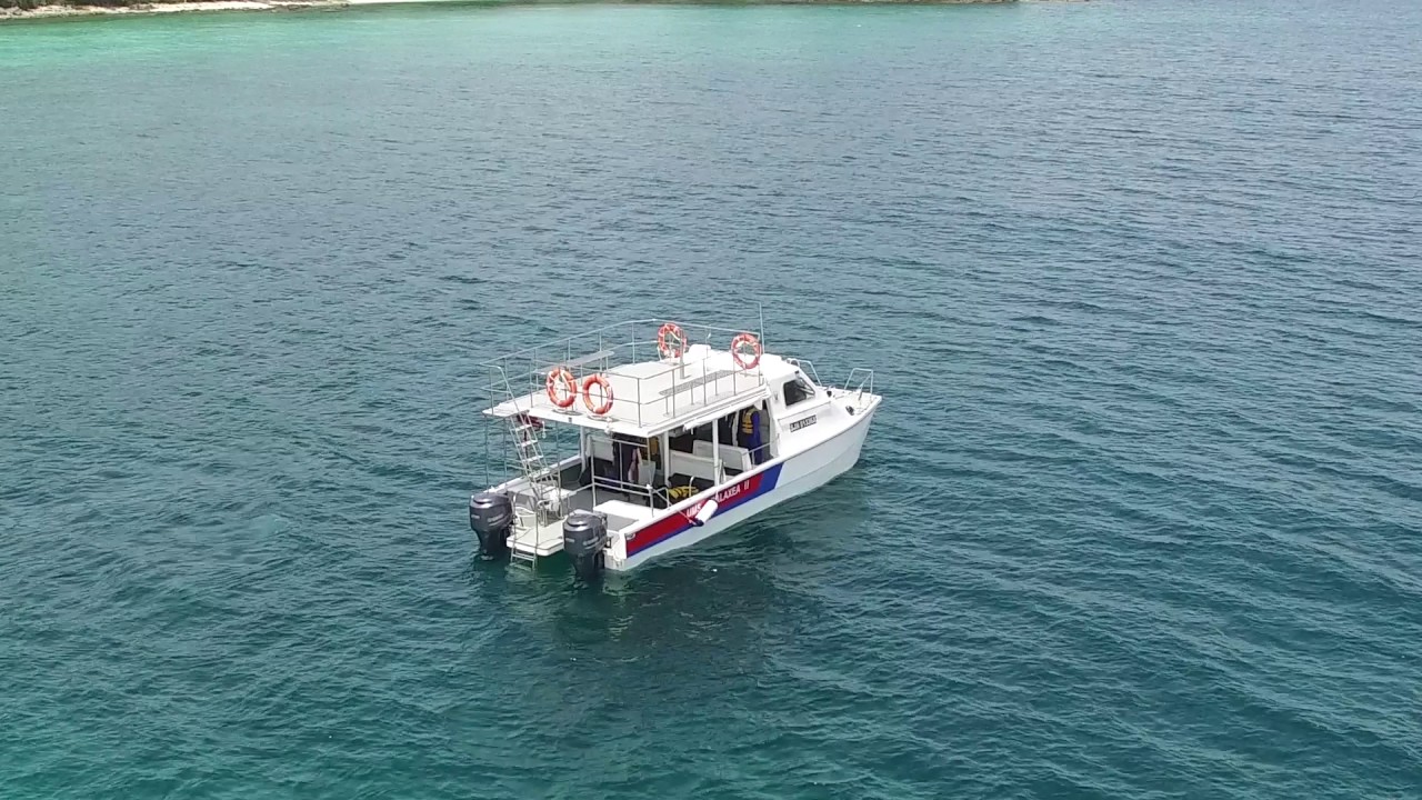 2017 BMRI UMS CORPORATE VIDEO