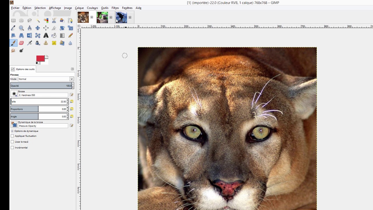 Les calques dans GIMP 1/4