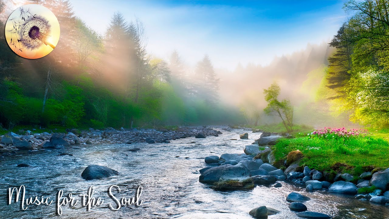 Relaxing Music for Stress Relief and Healing Anxiety 🌺 Deep Relaxation, Meditation & Sleeping