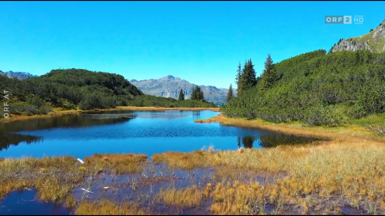 Mehr als Moor - Moore in Vorarlberg