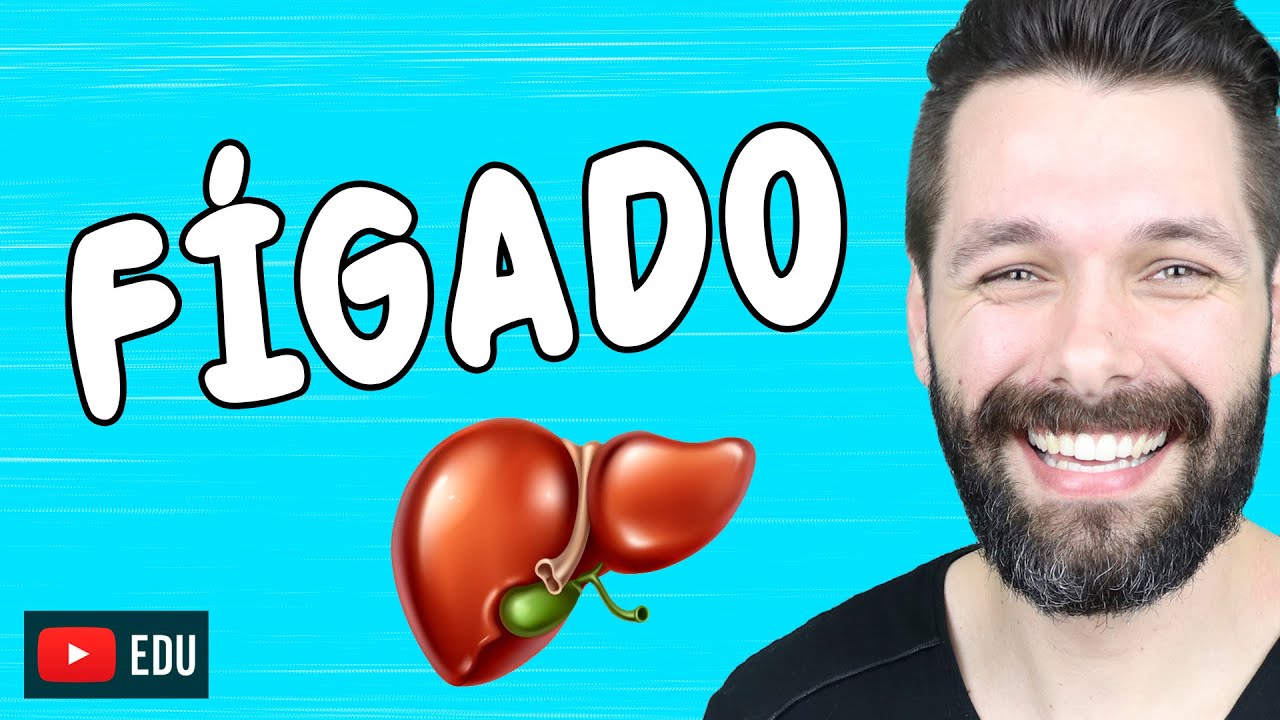 FÍGADO - Anatomia e Funções - Sistema digestório, endócrino etc. | Biologia com Samuel Cunha